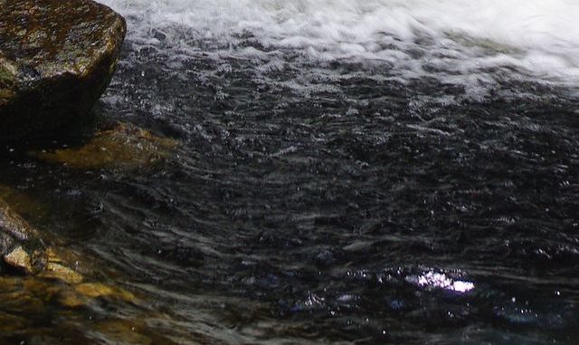 7687844740_5d20e063ac_k